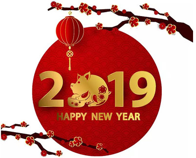 泰諾關(guān)于2019年春節(jié)放假安排