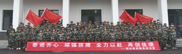 泰諾模具公司